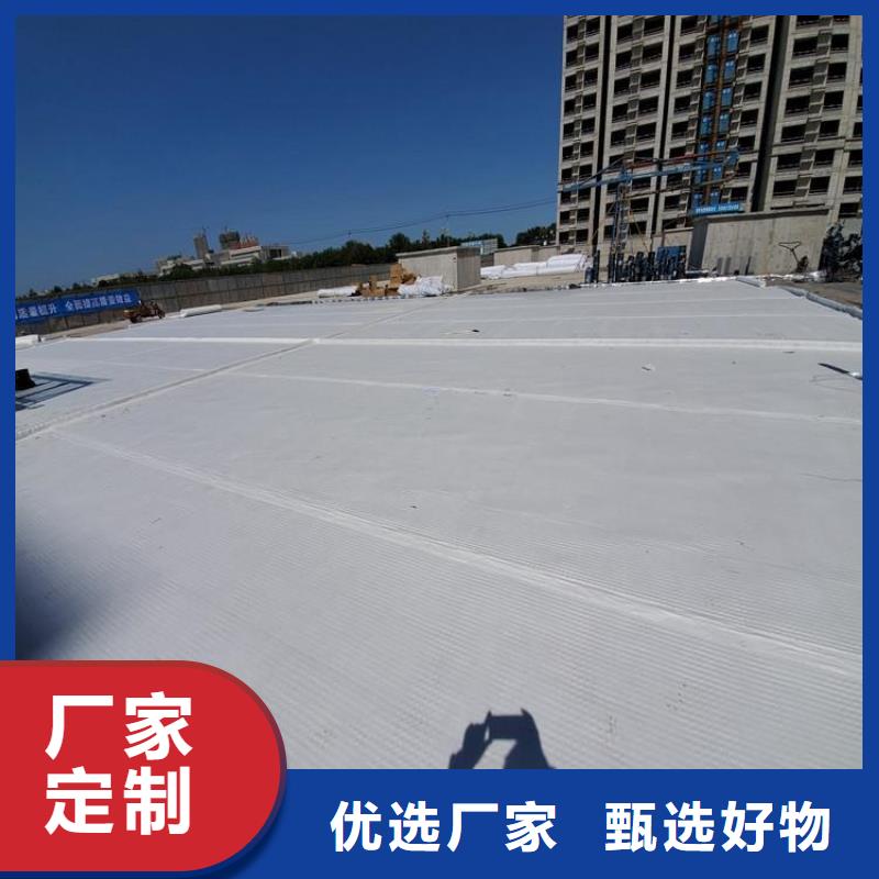 短纤针刺滤水土工布