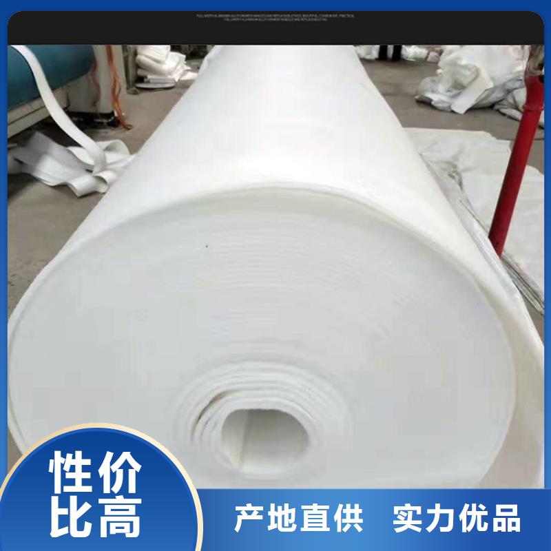 短纤针刺渗水土工布