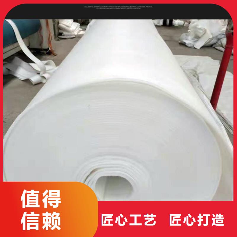 渗水渗水土工布