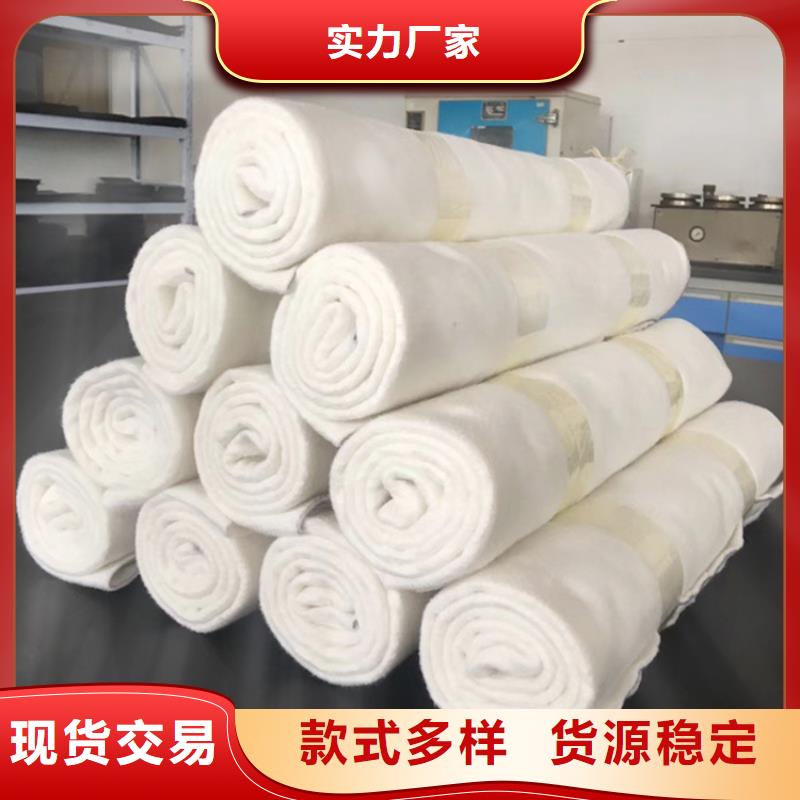 土工布防渗土工膜专注质量