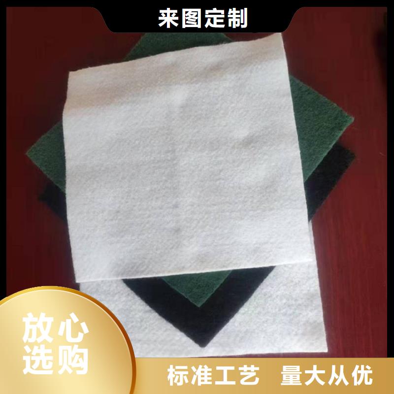 短纤针刺滤水土工布