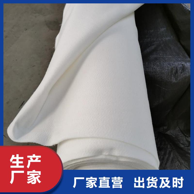 短纤无纺针刺土工布