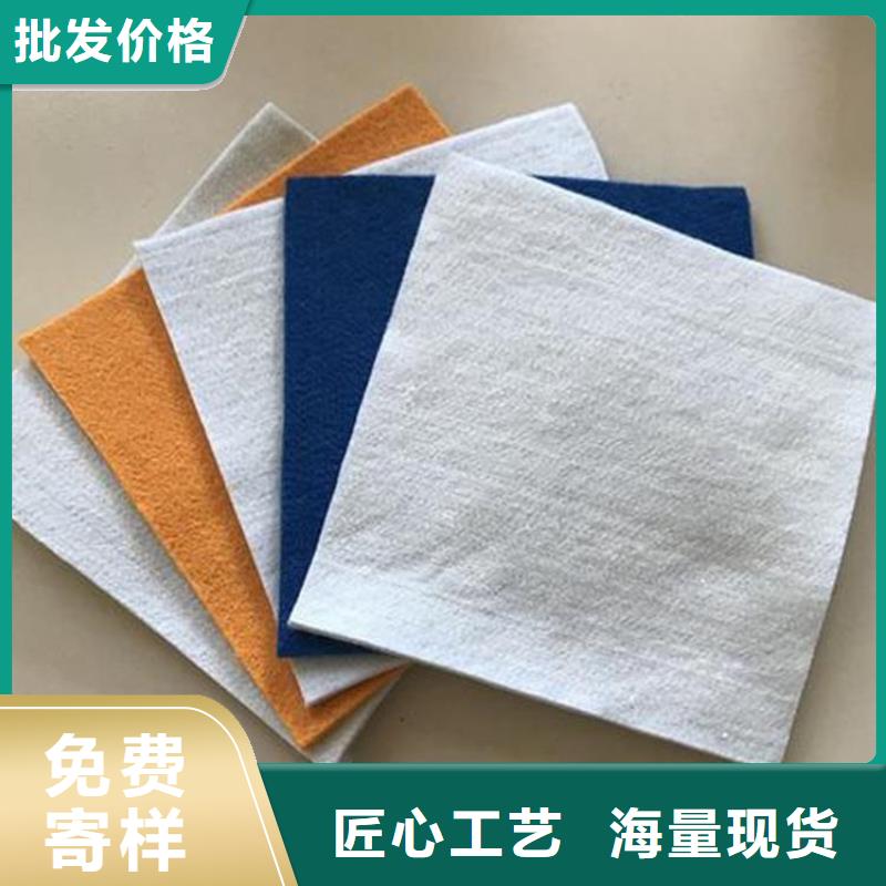 土工布防渗土工膜专注质量