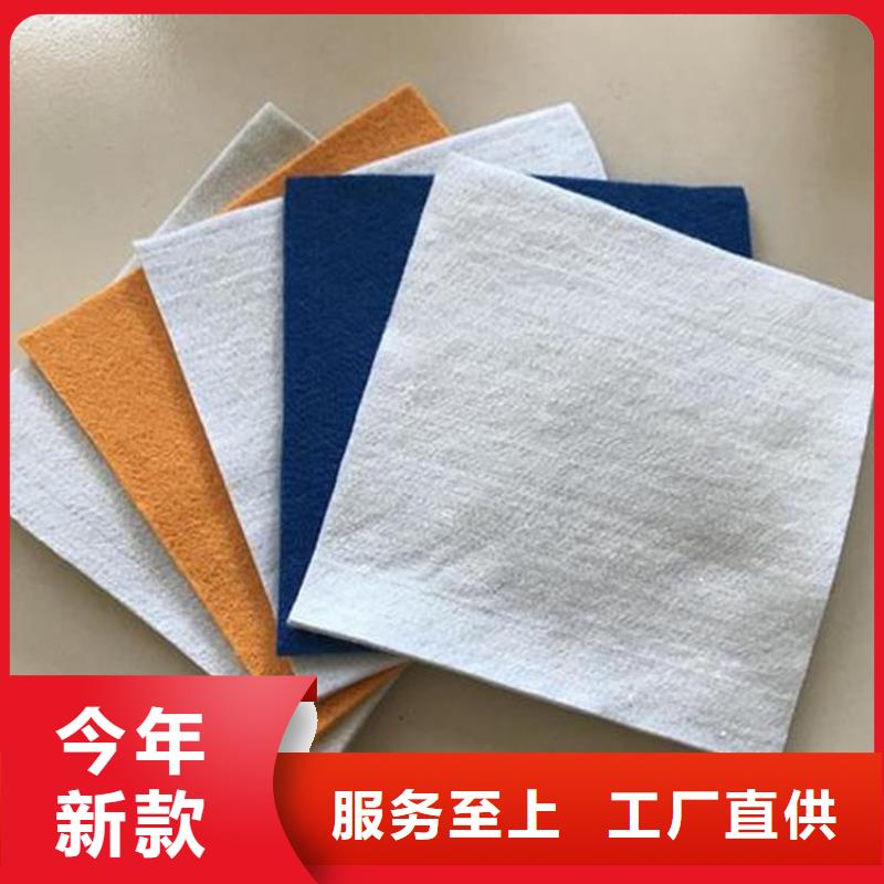 屯昌县反滤土工布