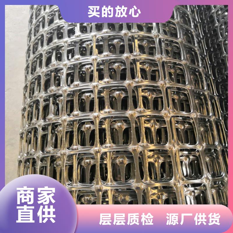 塑料单向土工格栅