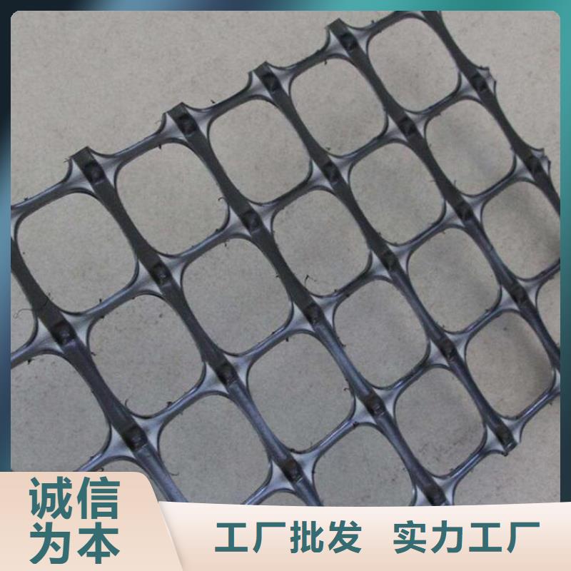 塑料双向土工格栅