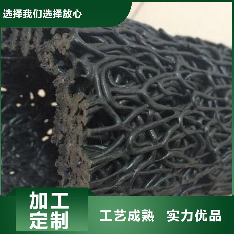DN250300mm塑料盲管