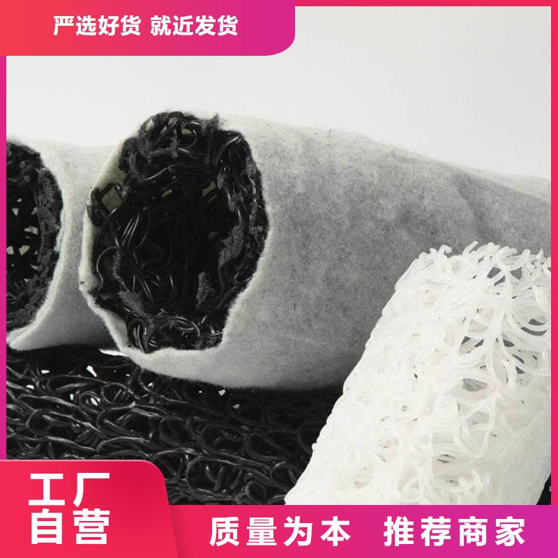 隧道塑料盲沟