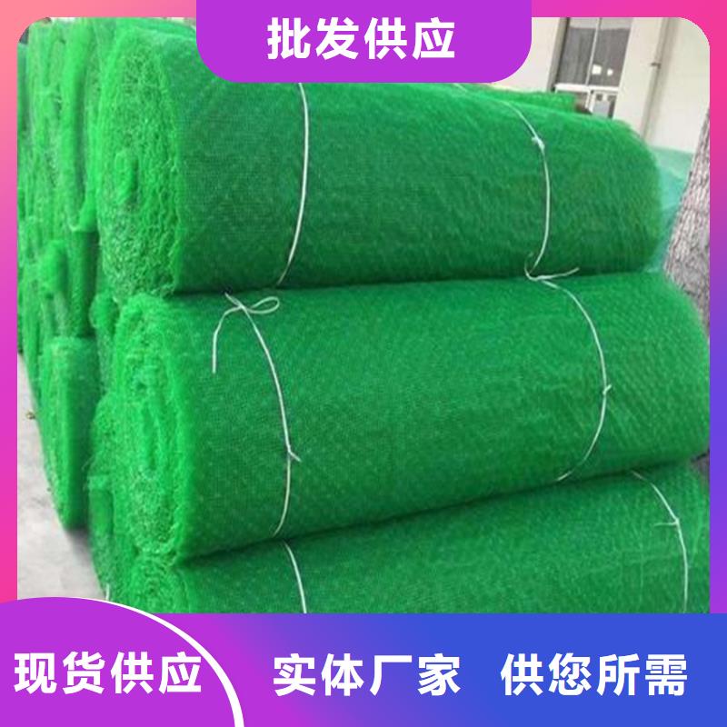 边坡绿化三维植被网