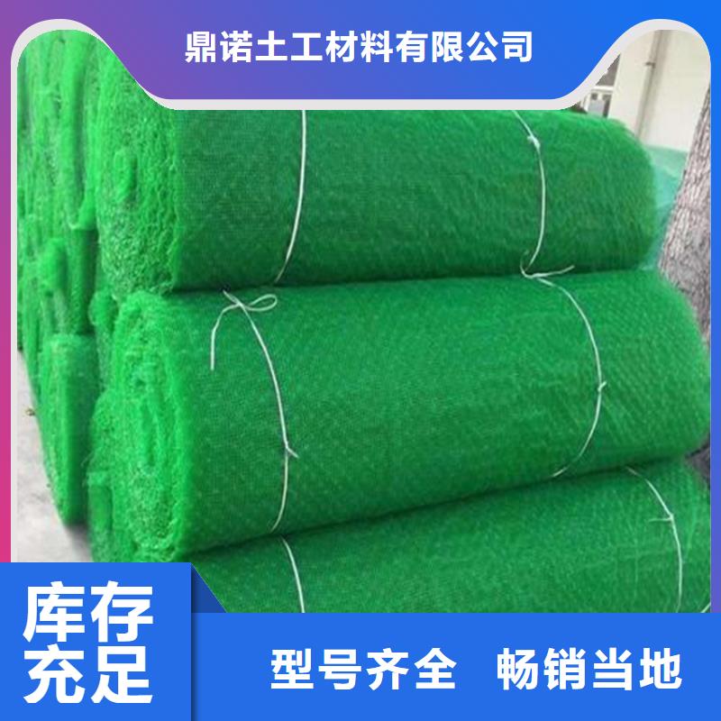 护坡绿化三维植被网
