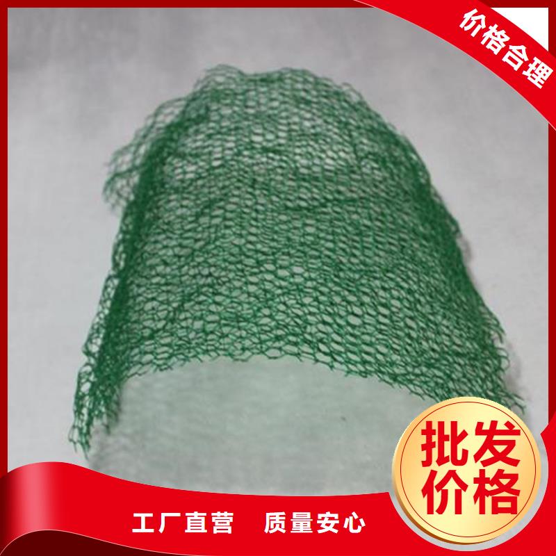 三维土工网垫哪里有卖的