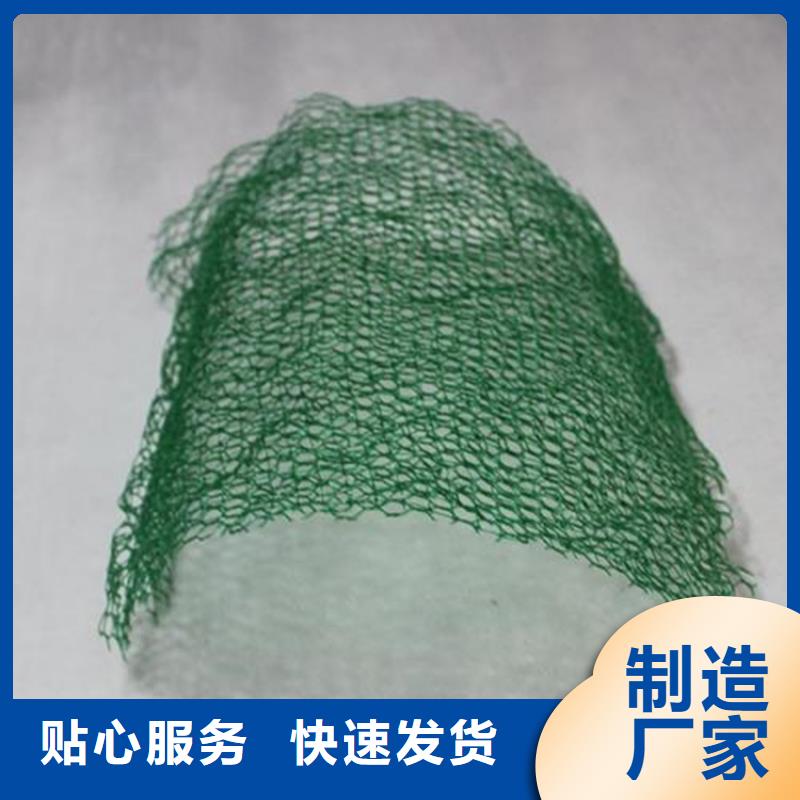三维植被网边坡EM2