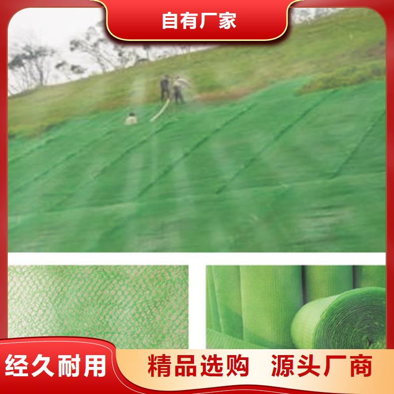 EM3三维植被网