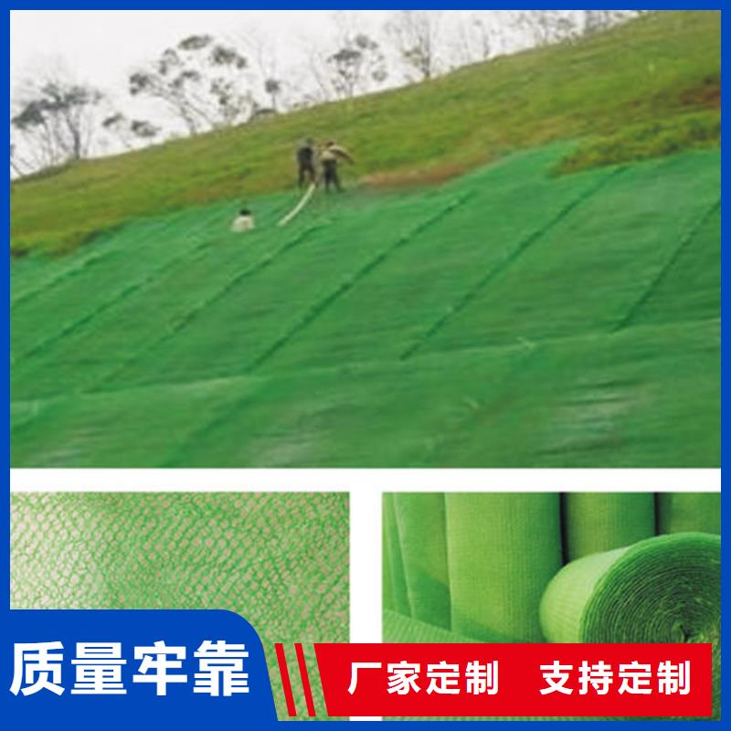EM3三维植被网垫