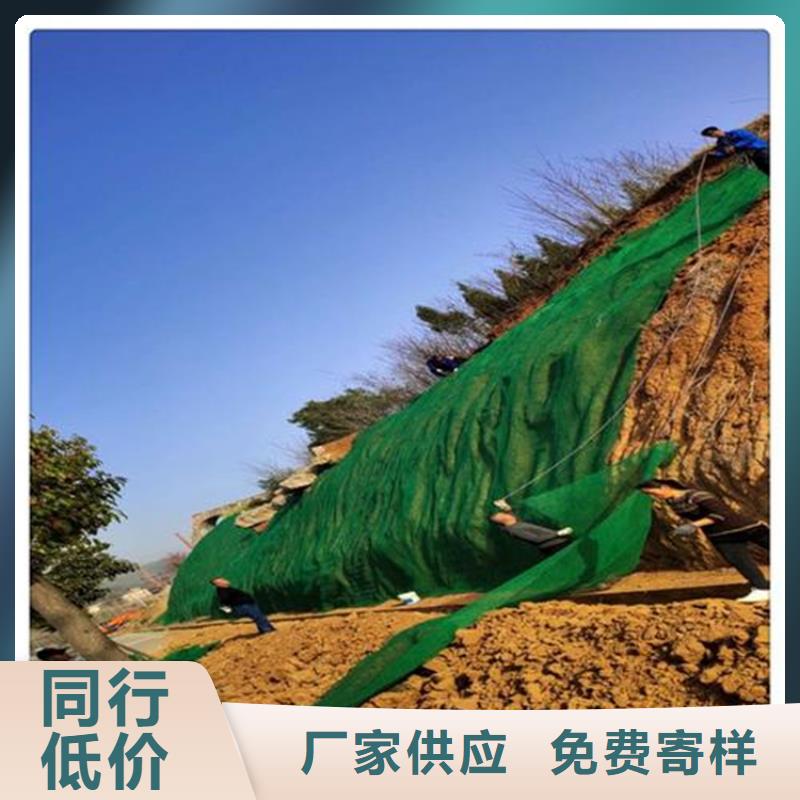 三维植被网公司报价