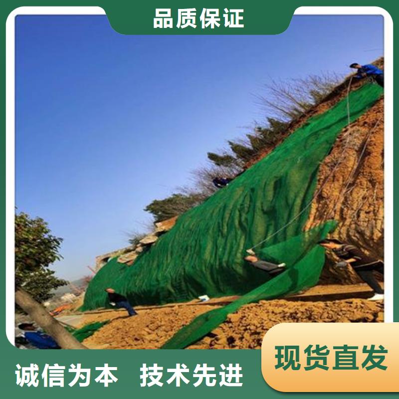 三维护坡植草网抗老化耐腐蚀