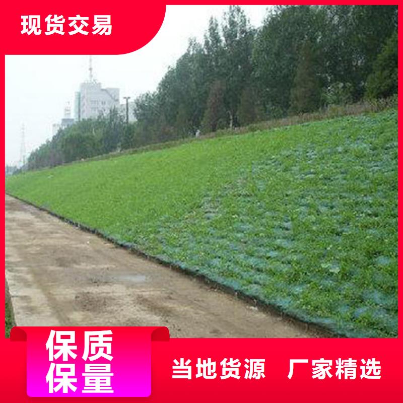 三维固土网垫绿化护坡