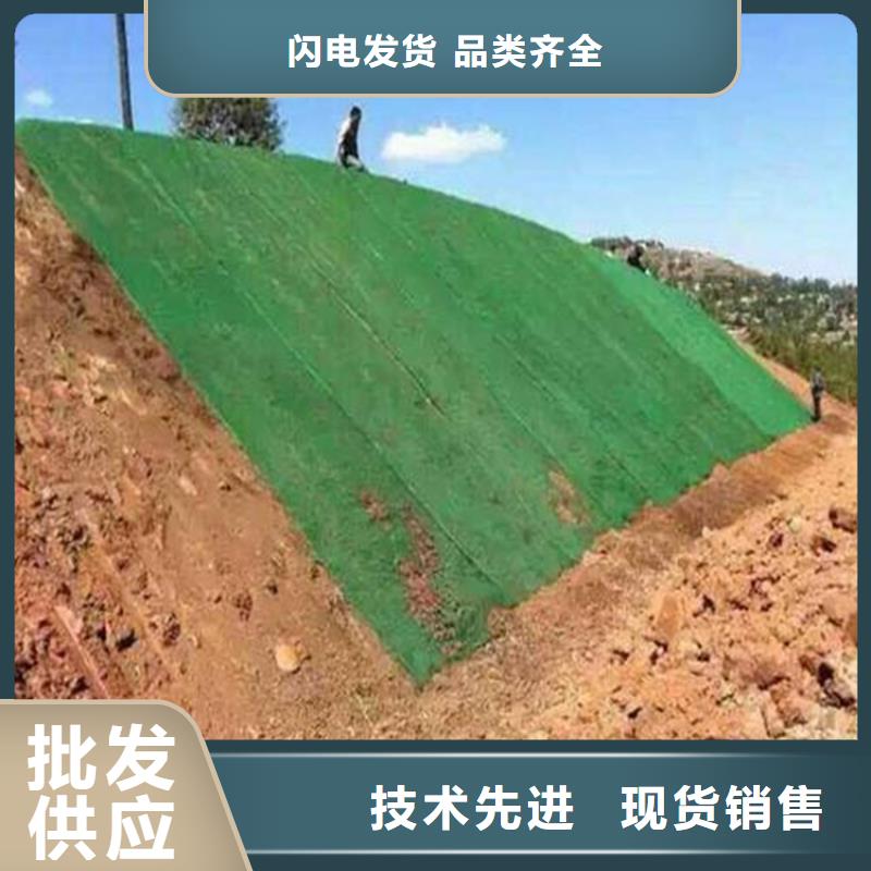 三维植被网防渗膜好产品不怕比