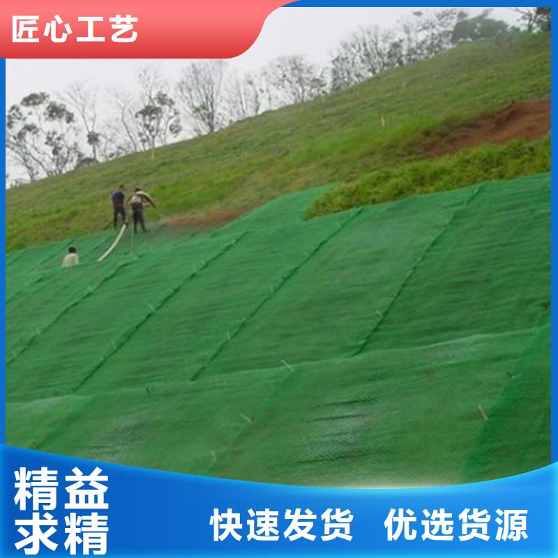 三维固土网垫市场经销