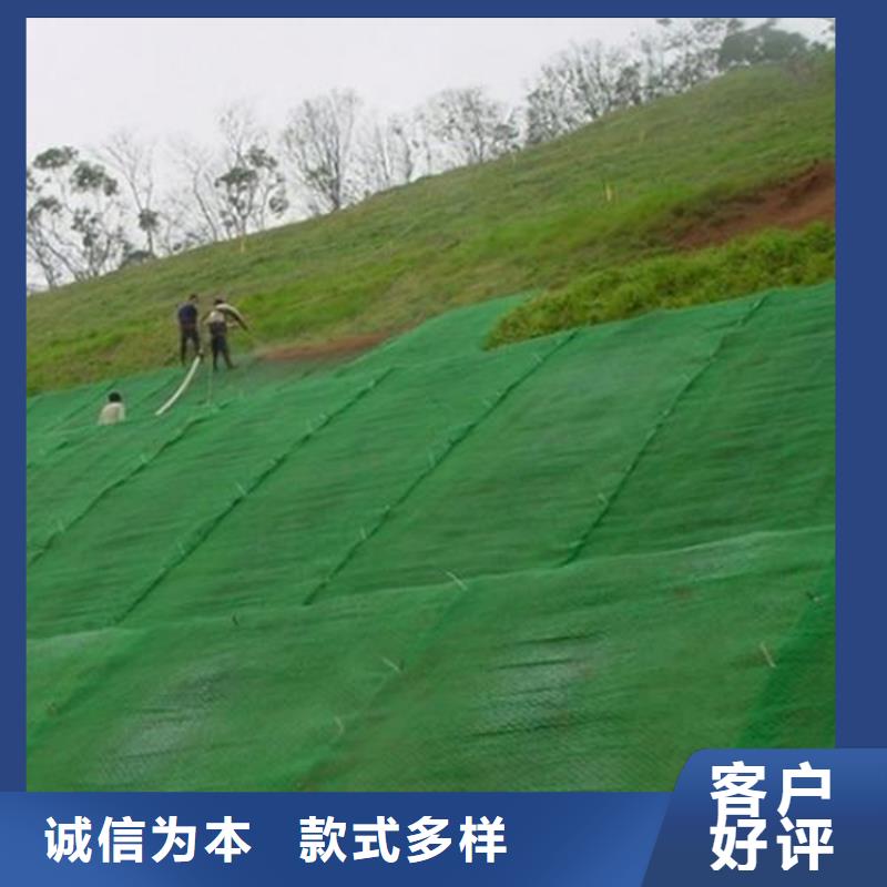 三维固土网垫绿化护坡