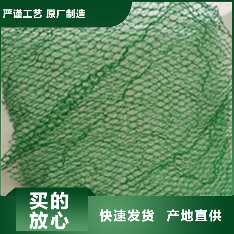 三维护坡植草网厂家价格