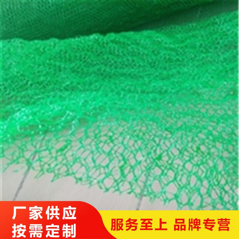 EM3三维固土网垫