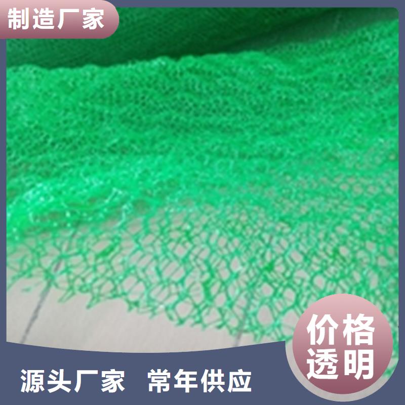 三维植被网防渗膜做工精细