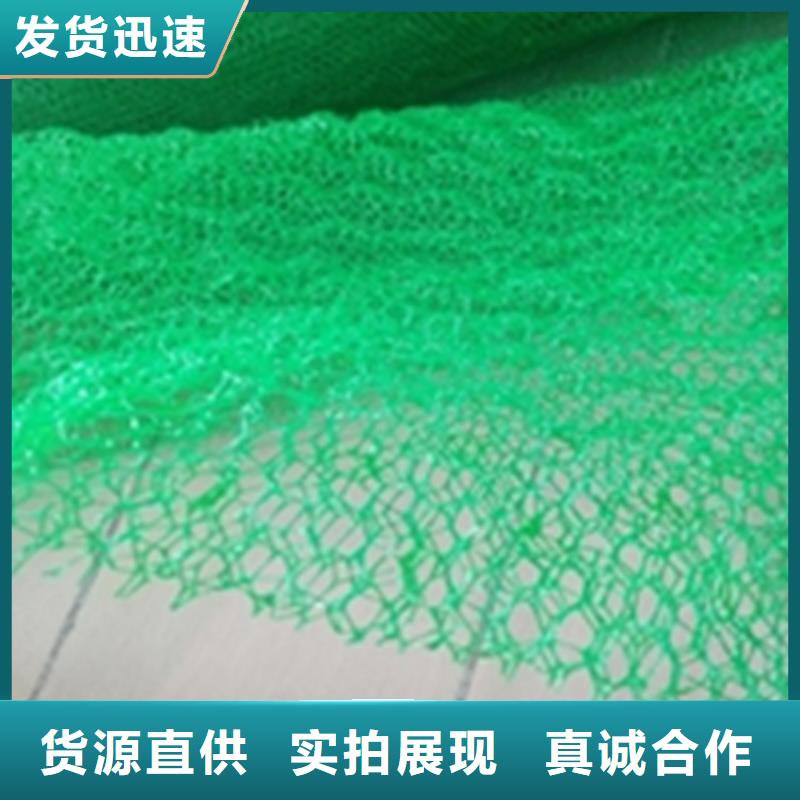 三维植被网EM5护坡