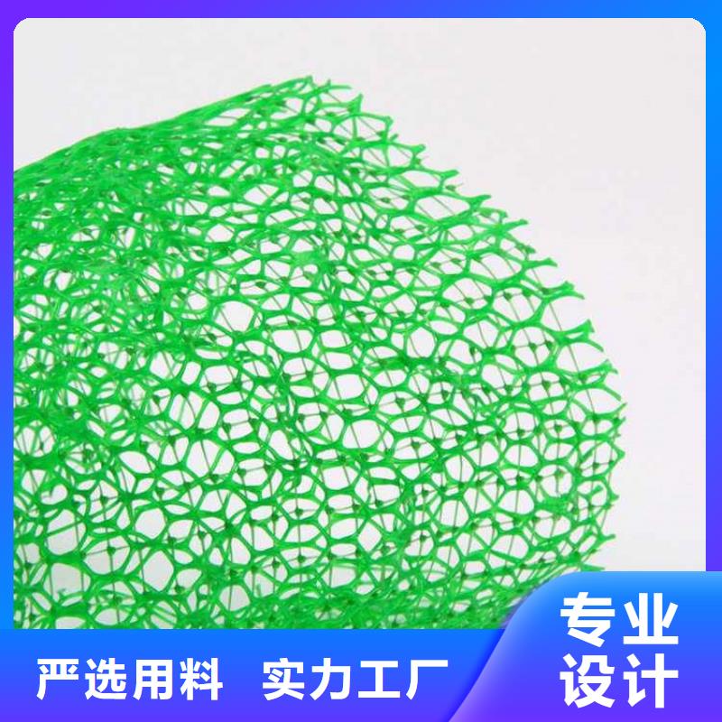 EM2环保三维植被网