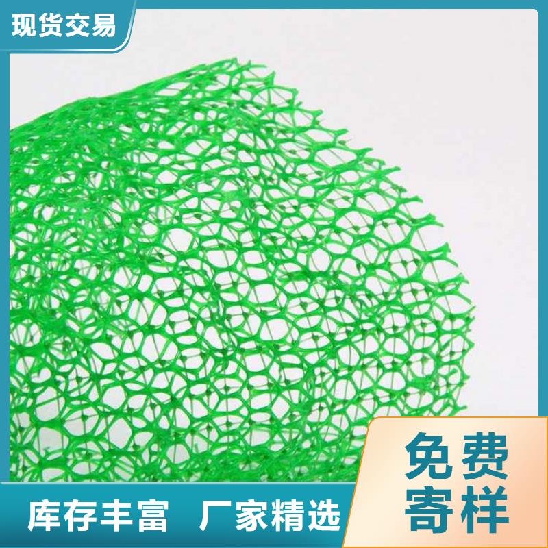 边坡绿化三维植被网