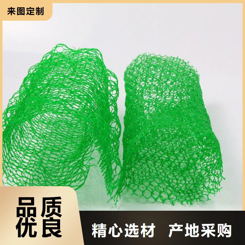 三维植被网【【防水毯】】厂家型号齐全