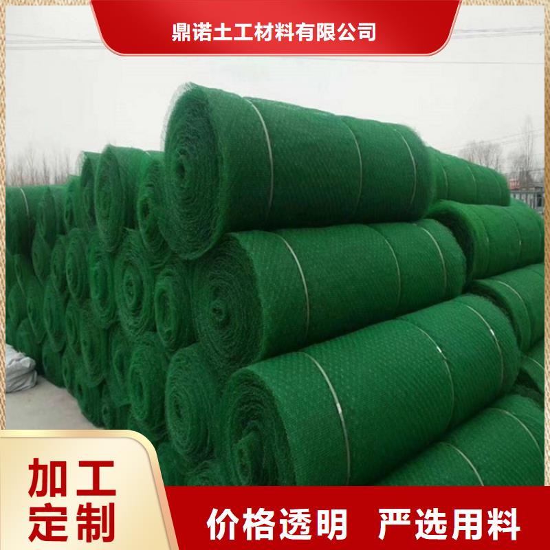 三维植被网土工膜工厂采购