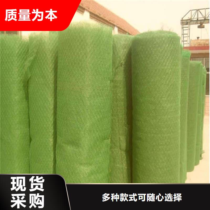 三维植被网防水毯质优价廉