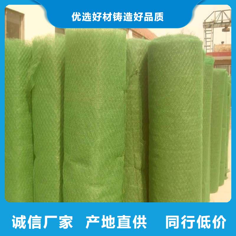 护坡绿化三维植被网