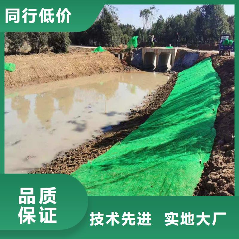 三维植草护坡网垫源头供应
