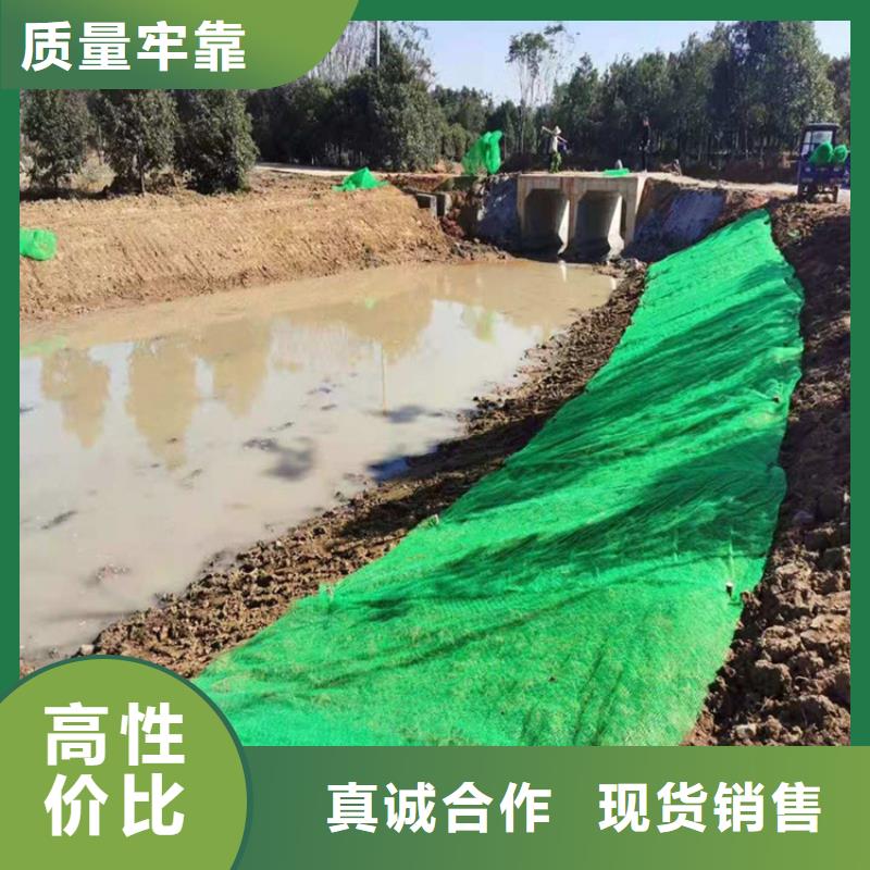 三维植被网,HDPE土工膜支持大批量采购