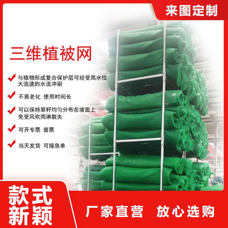 三维护坡植草网厂家价格