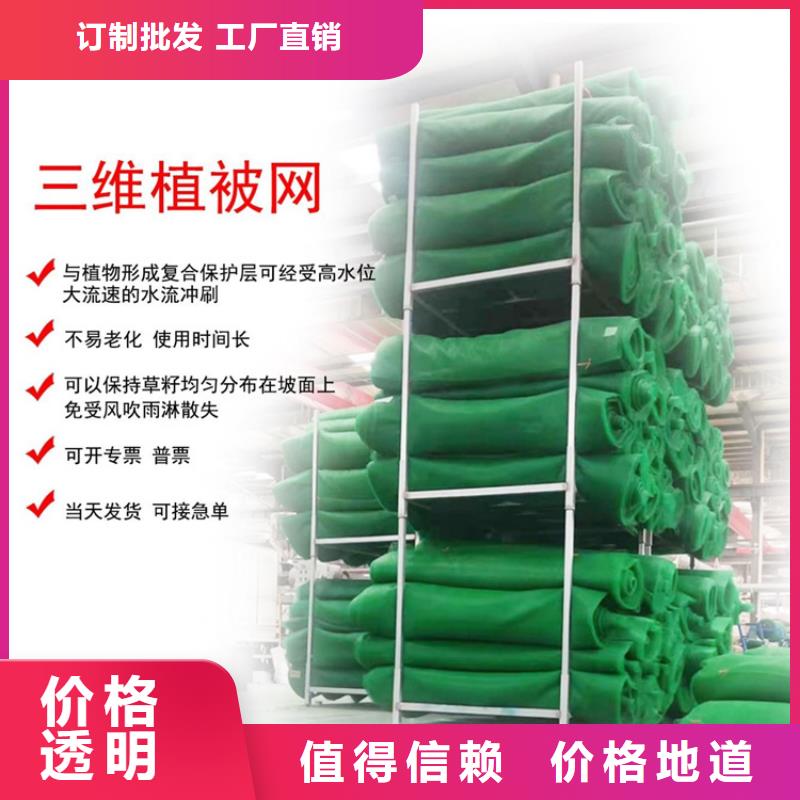 EM2EM4三维护坡植草网垫