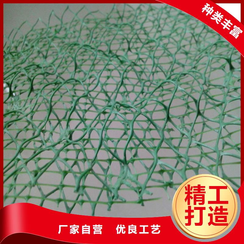 边坡绿化三维植被网