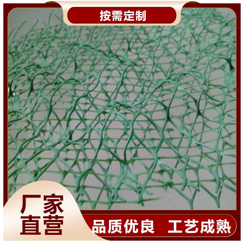 三维土工网垫使用规范