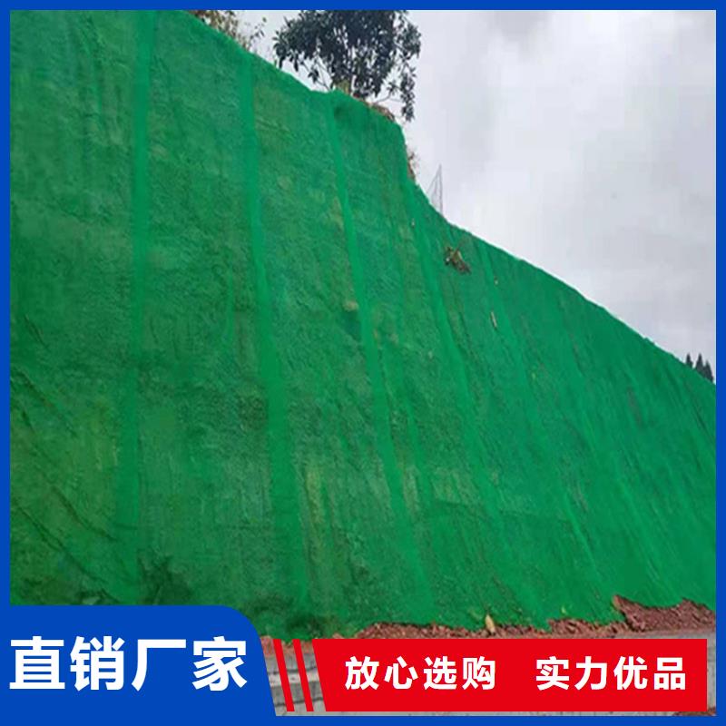 三维植草护坡网垫源头供应