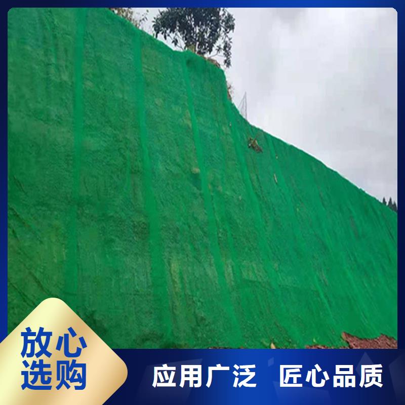 三维护坡植草网厂家价格