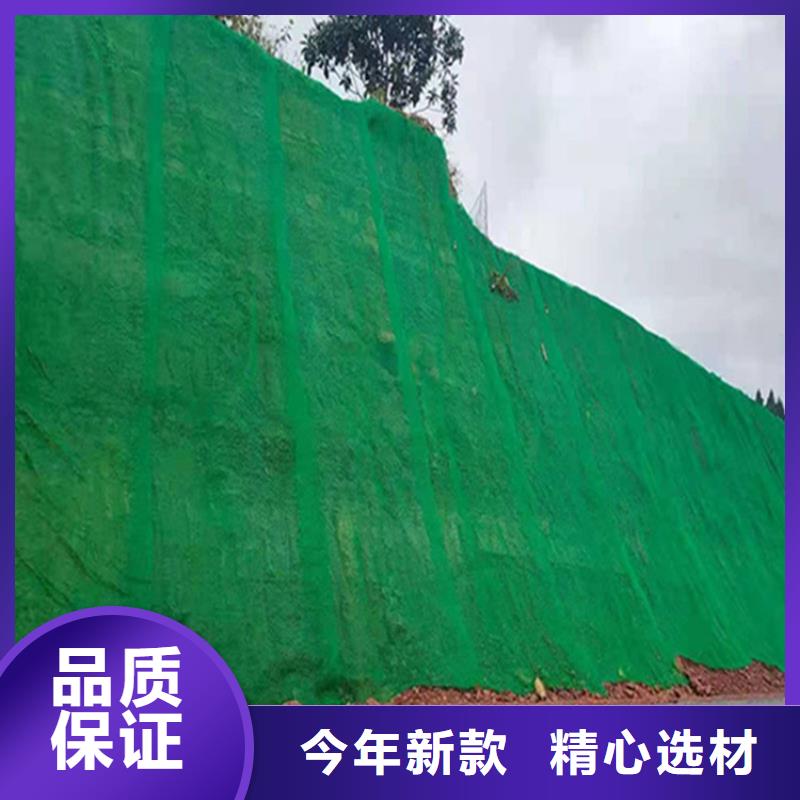 三维固土网垫型号规格
