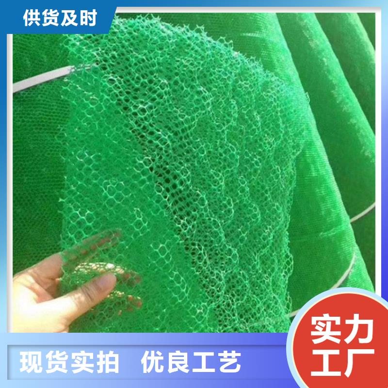 三维土工网垫批发销售