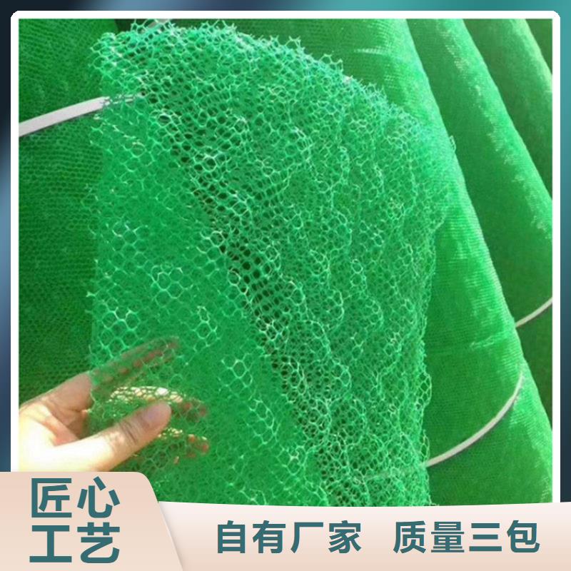 植草三维植被网