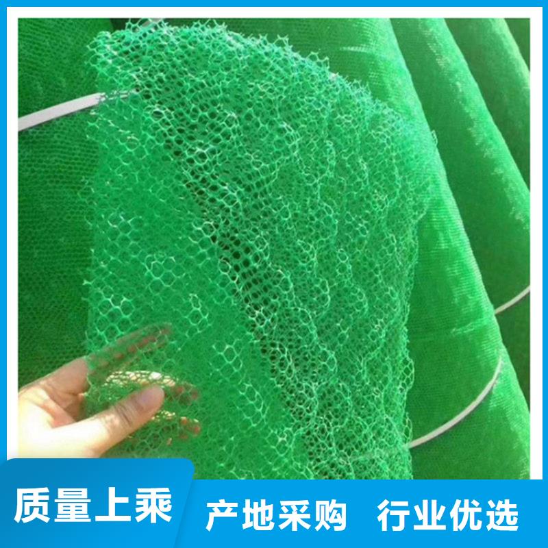 草皮EM5三维植被网