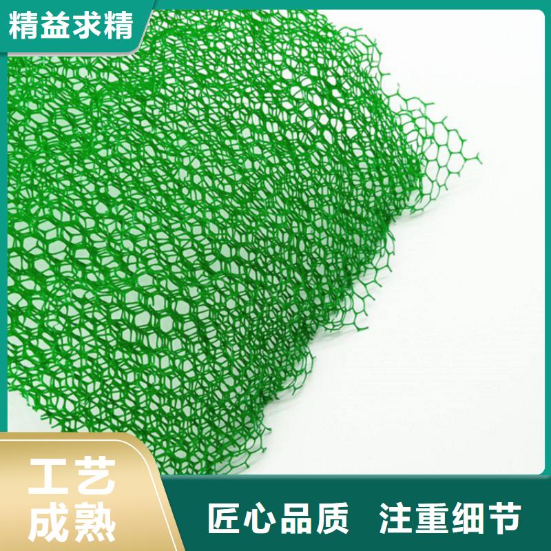 三维植被网边坡EM2