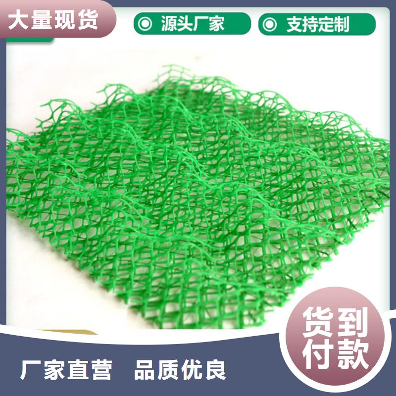 三维固土网垫绿化护坡