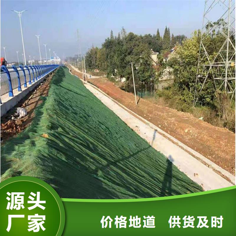 三维土工网垫批发销售