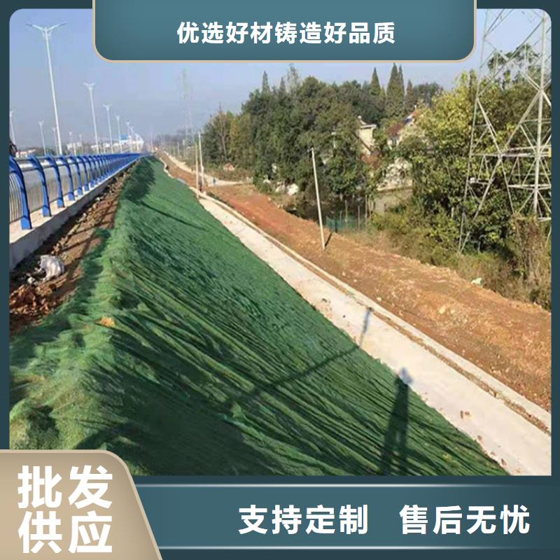 EM3三维植被网垫